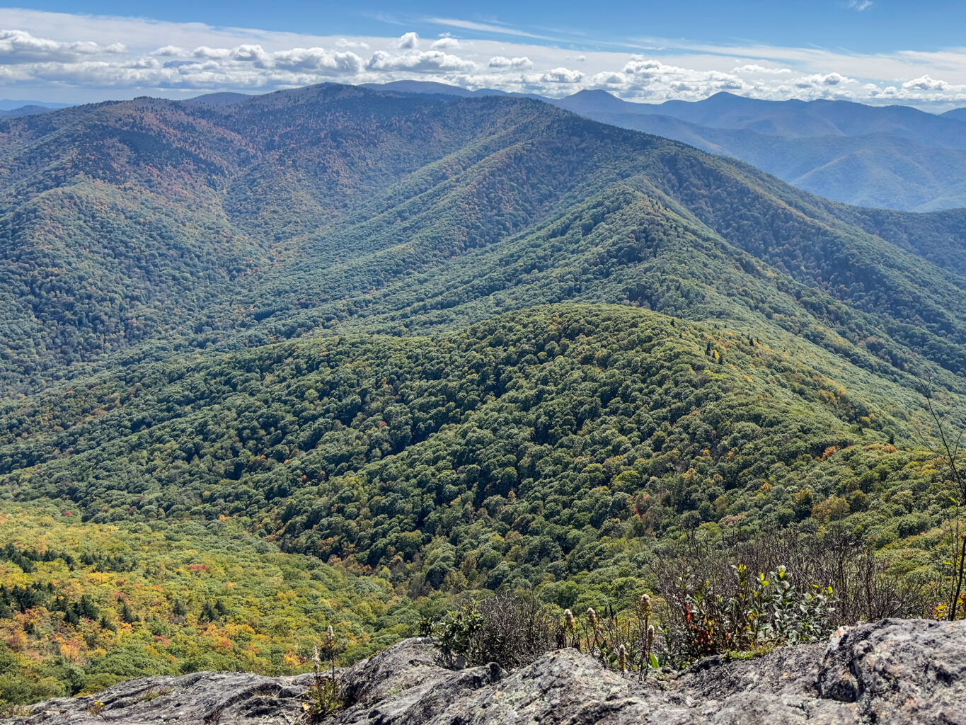 Cold Mountain - The Art Loeb Trail Project